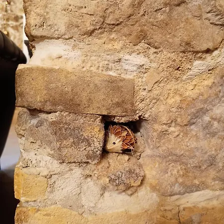 Domus Pia * Rocca Pia