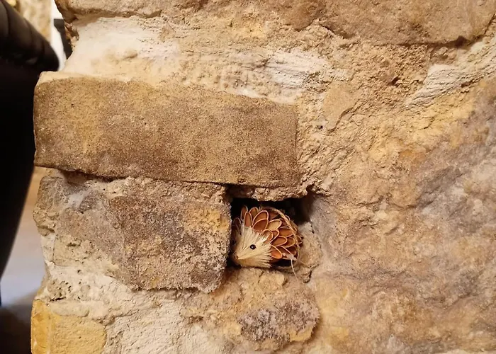 Domus Pia * Rocca Pia